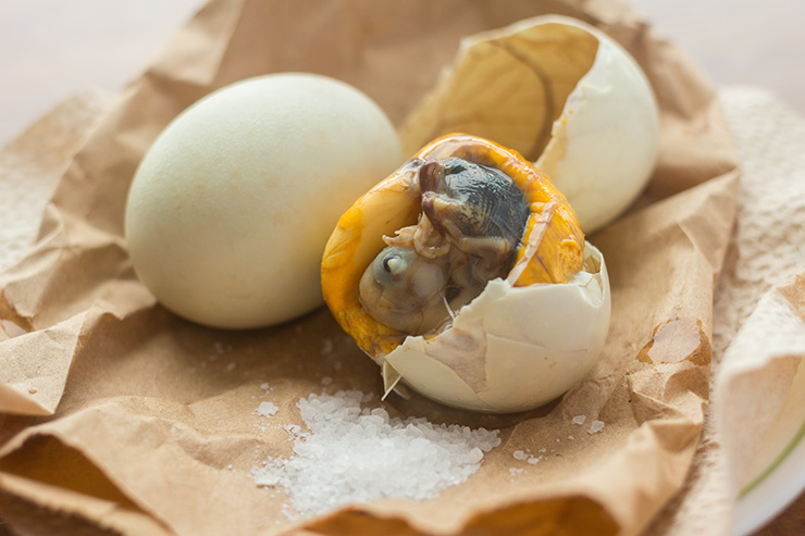 Утиные яйца в различных блюдах