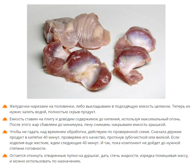 п: куриные желудки приготовление