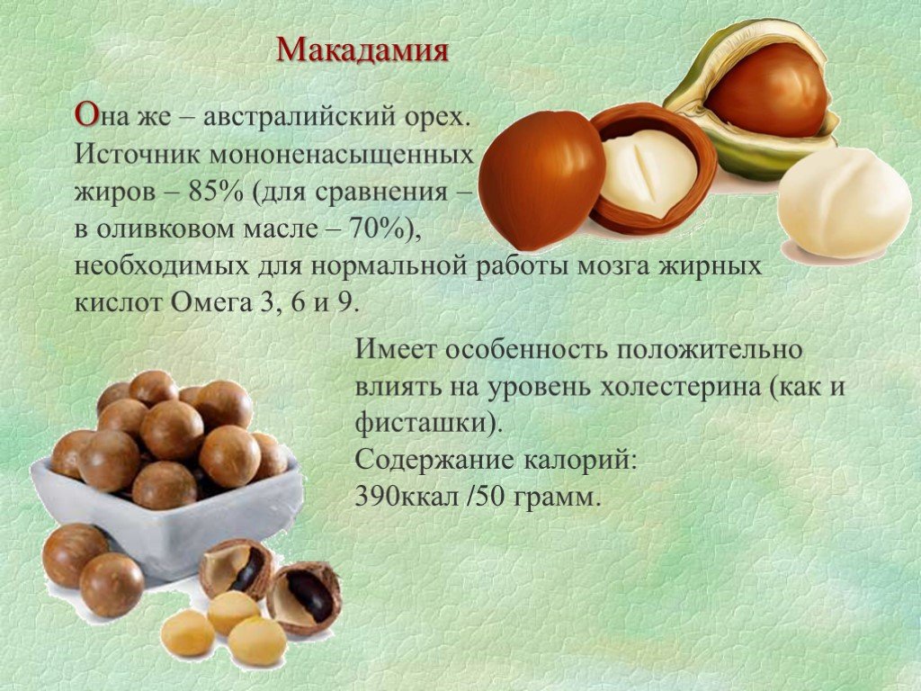 Макадамия, выращивание, история, блюда, продукты