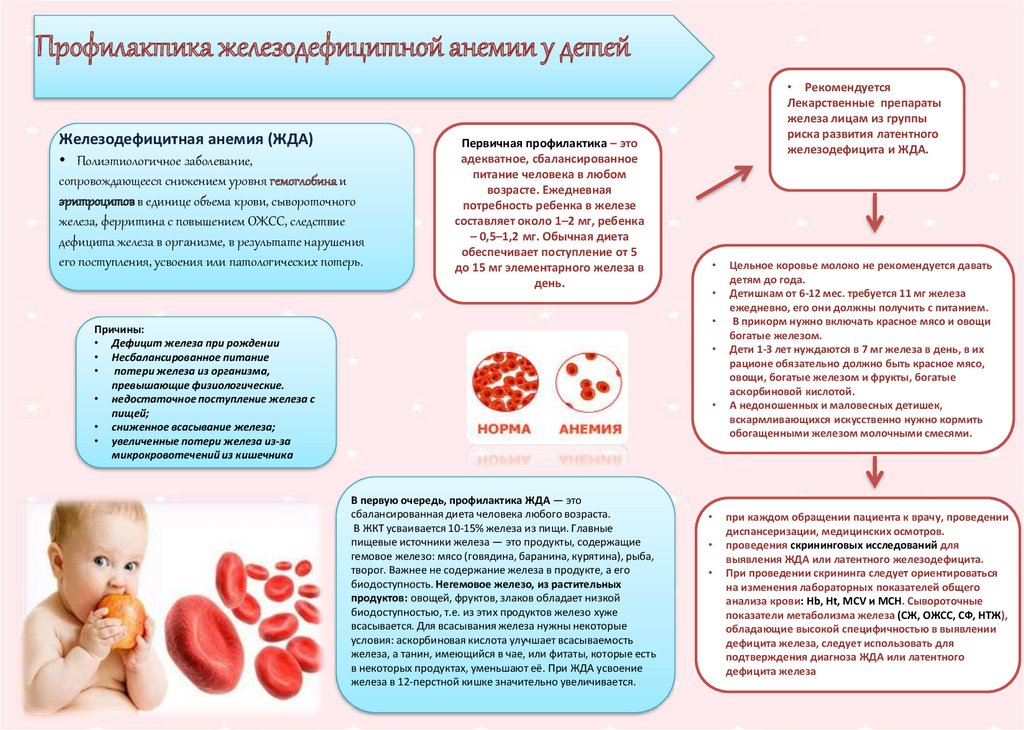 Профилактика анемии у детей питание здоровье контроль