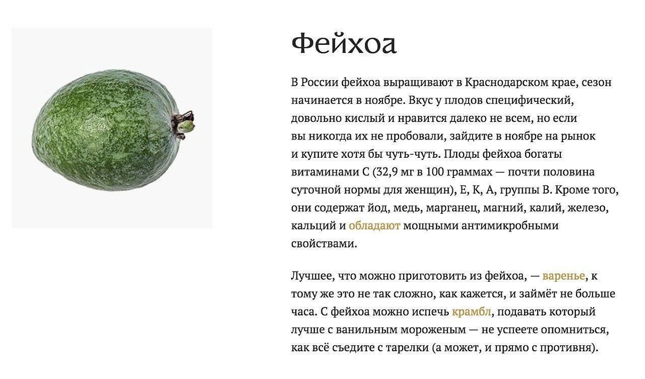 Как использовать фейхоа в кулинарии: рецепты и советы