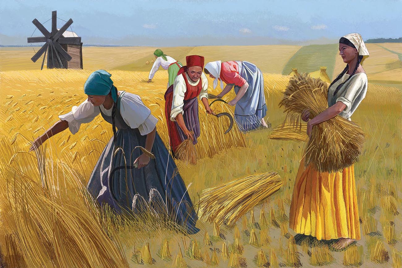 Жатва и молотьба пшеницы