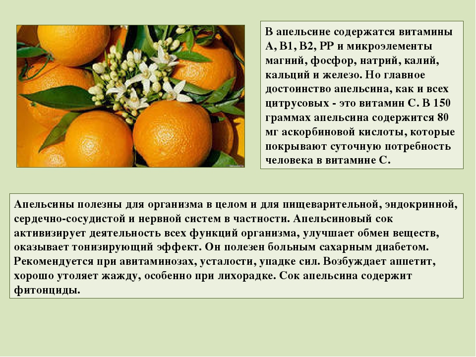 Апельсины как источник питательных веществ