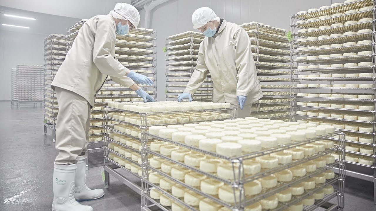 Производство сыра бри