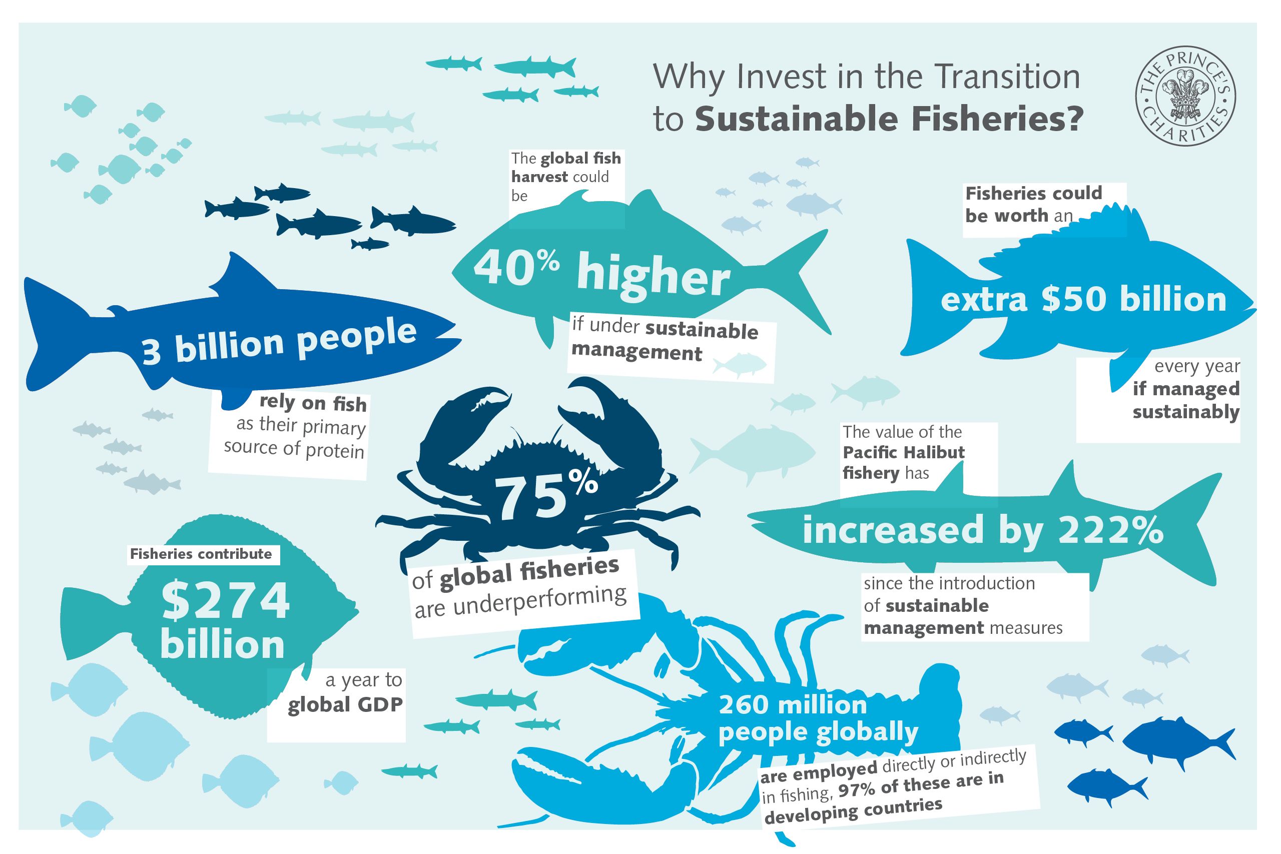 Sustainable krill harvesting practices