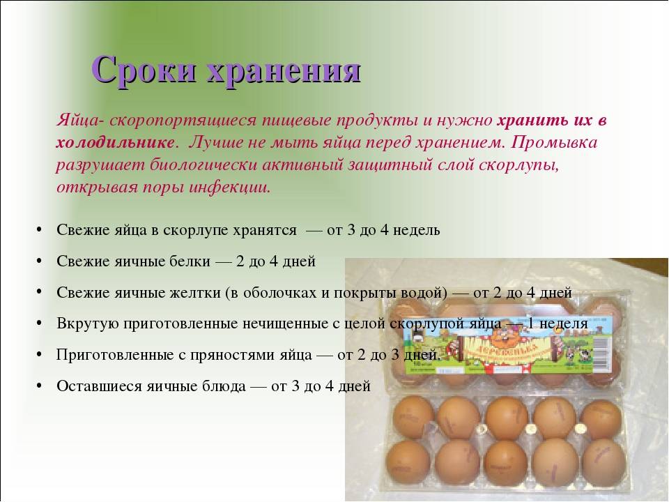 Хранение утиных яиц в холодильнике
