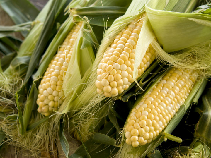 Как выбрать качественную кукурузу