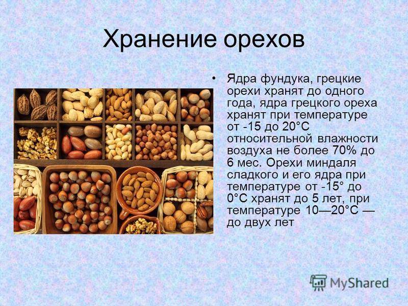 Кедровые орехи правильное хранение