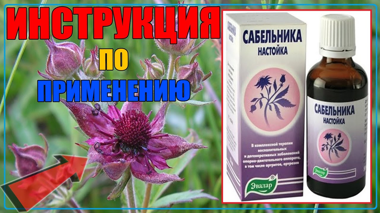 Как сделать красивые фотографии сабельника?