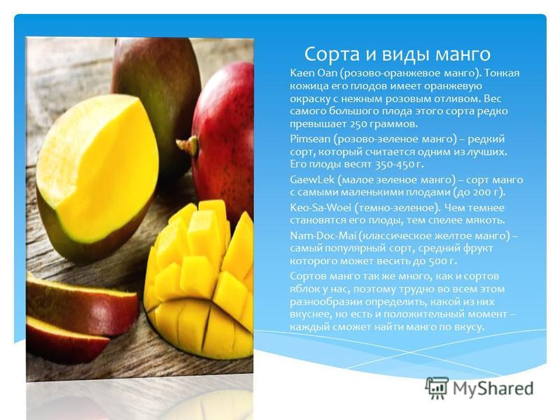 Полезные свойства манго свежего. Сушеное манго польза и вред для организма. Полезные свойства манго для организма человека. От манго полнеешь ли.