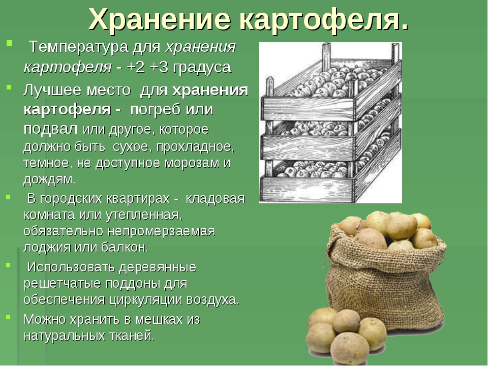 Хранение и использование остатков куриных сердец и картофеля