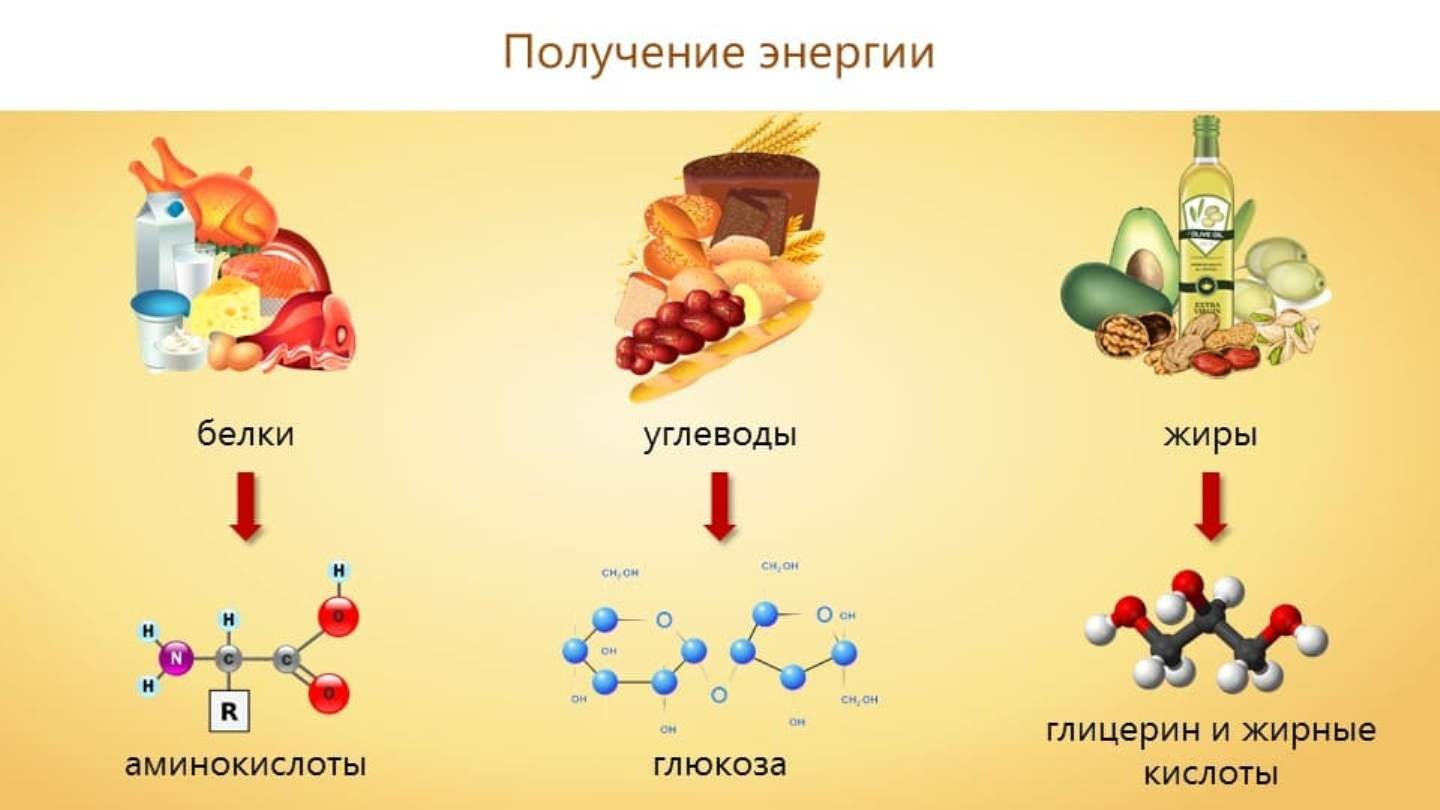 Гейнеры с белком, углеводами, жирами и аминокислотами