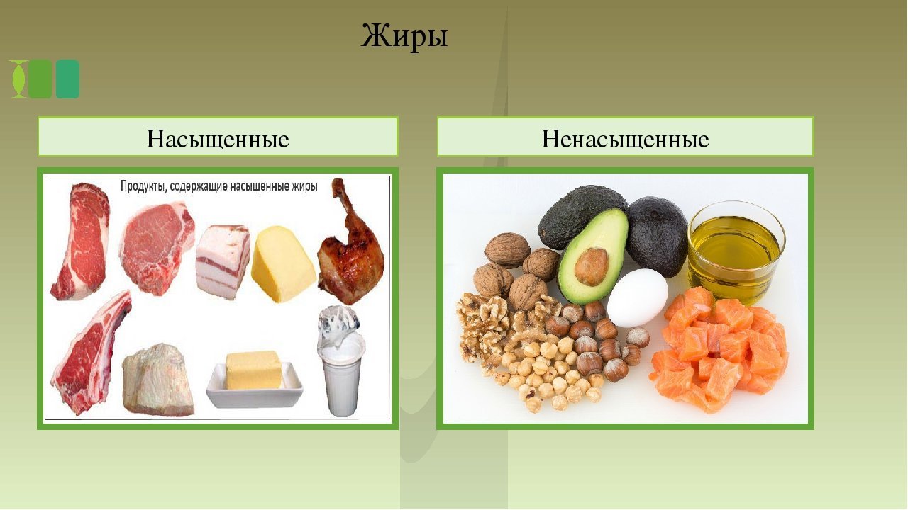 Проект жиры как продукт питания и химическое сырье