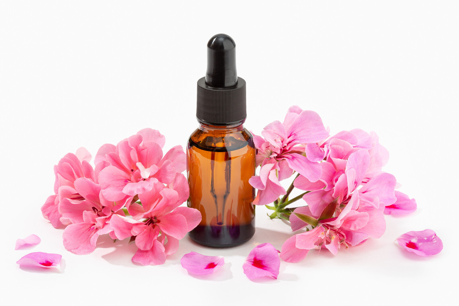 Пеларгония косметика парфюмерия ароматы масло экстракт