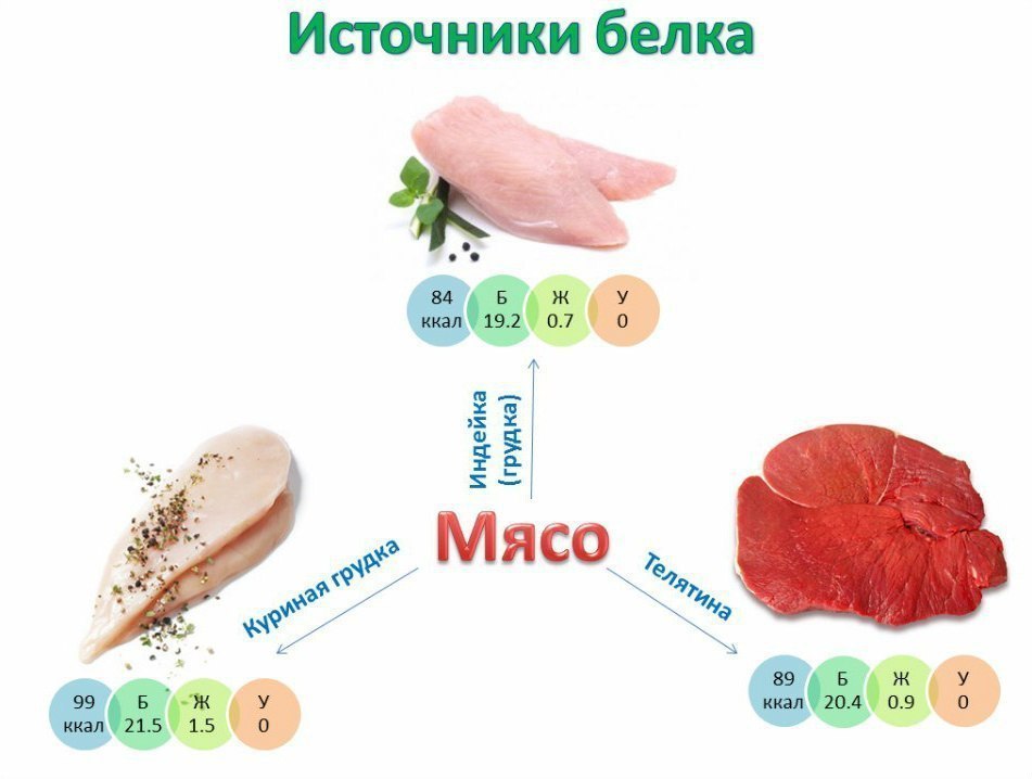 мясо как источник белка