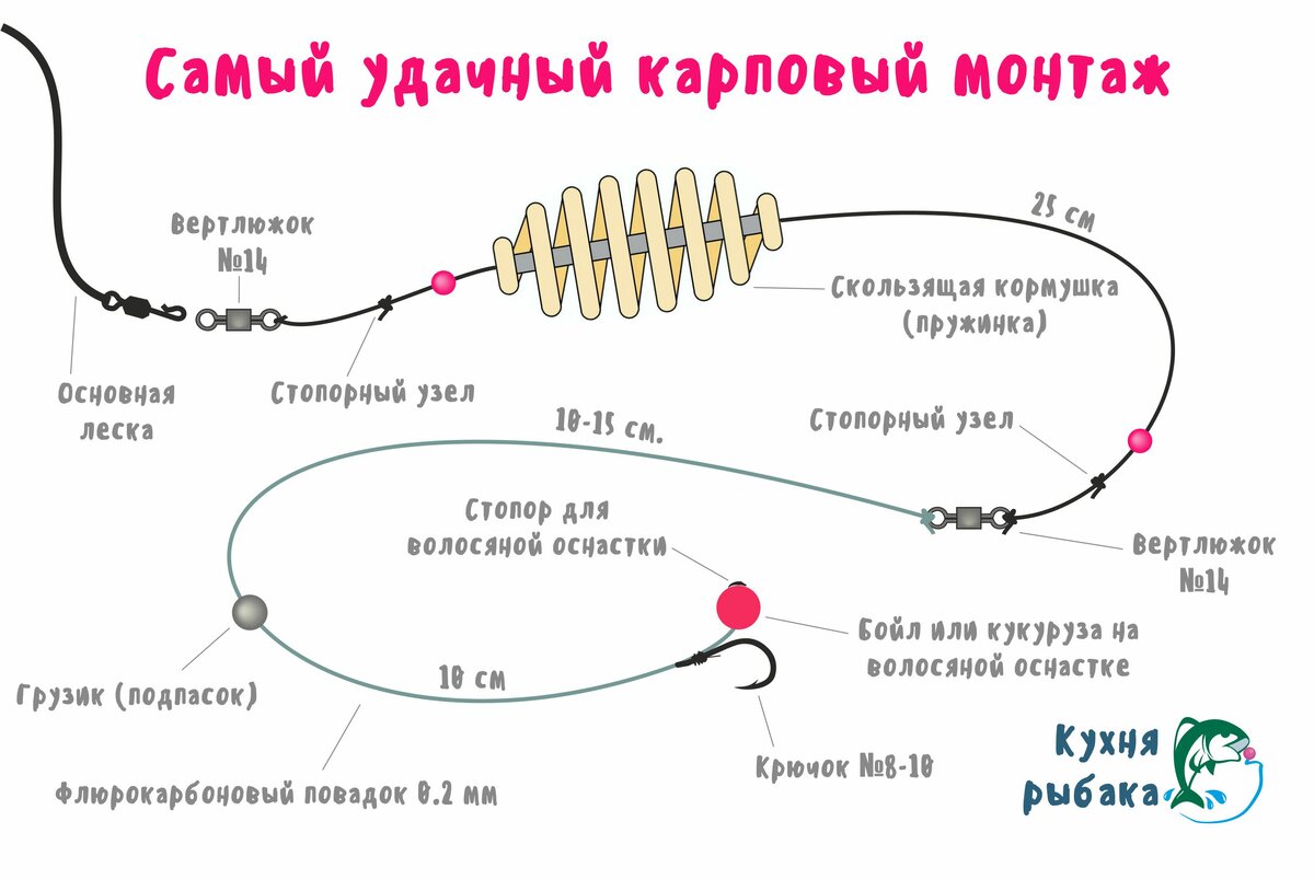 Фидерная снасть для ловли сазана