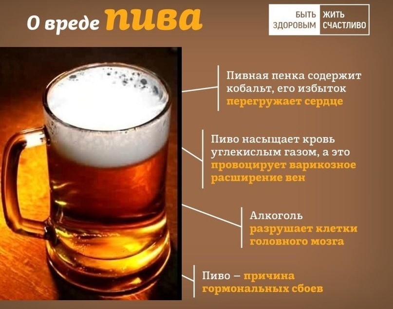 Пиво и здоровье мужчин: что говорят исследования