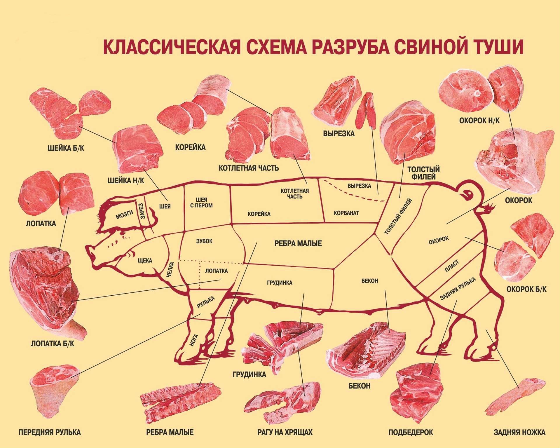 Картинки свинины классификация мяса