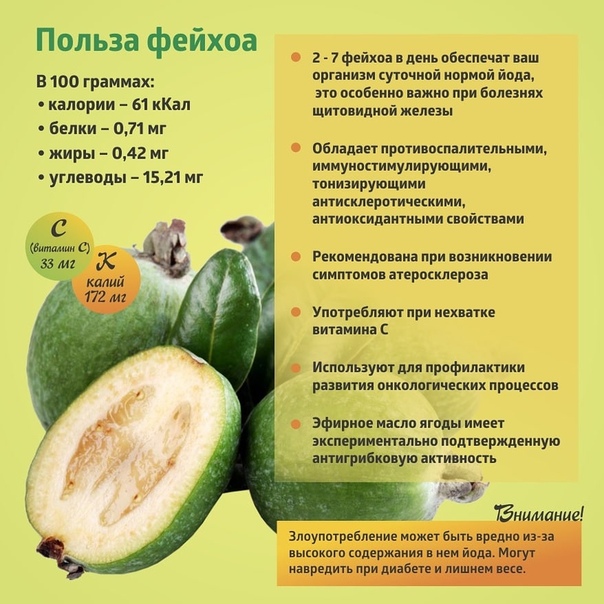 Как использовать фейхоа в кулинарии: рецепты и советы