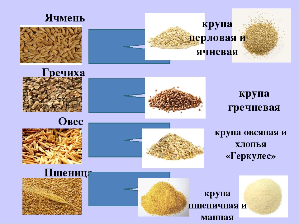 Производство различных видов крупы из зерновых культур