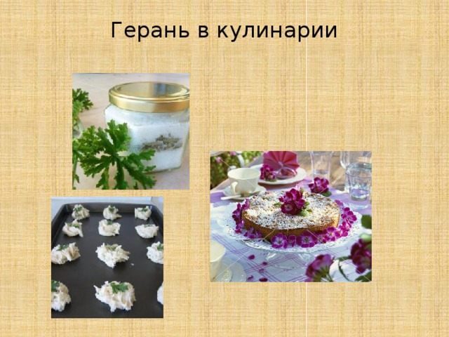 Пеларгония кулинарное применение