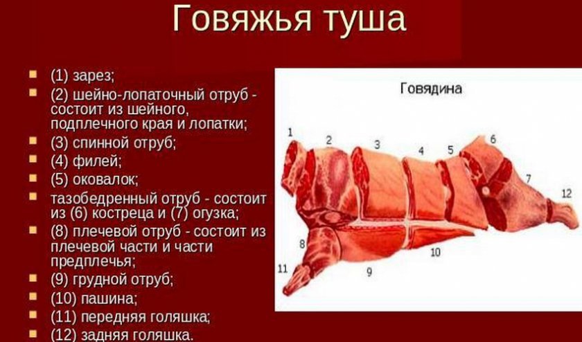Разделка грудной клетки говядины
