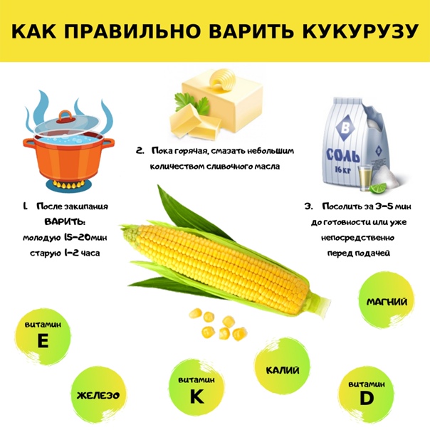 Правила безопасности при приготовлении вареной кукурузы у детей