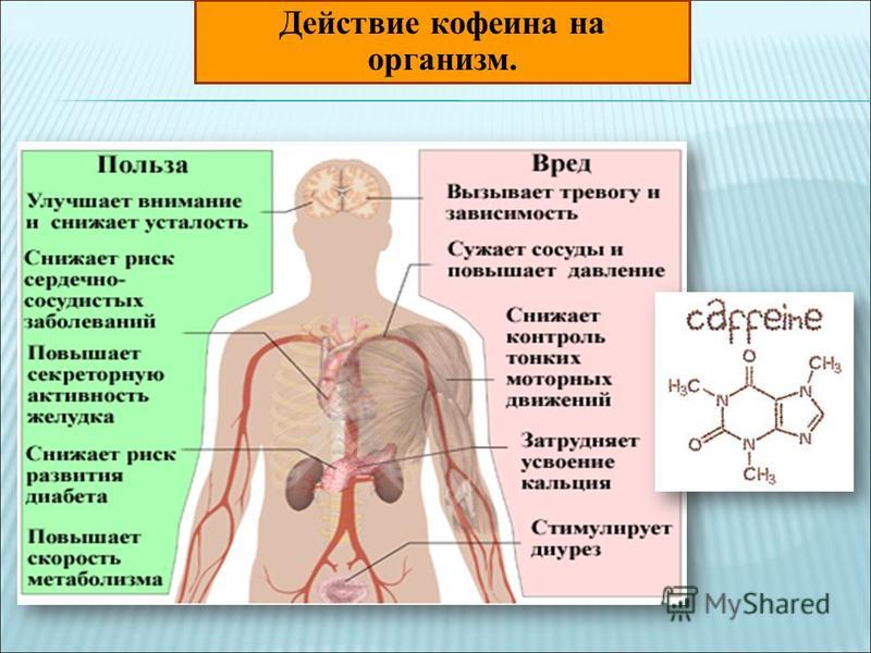 Кофейные зерна