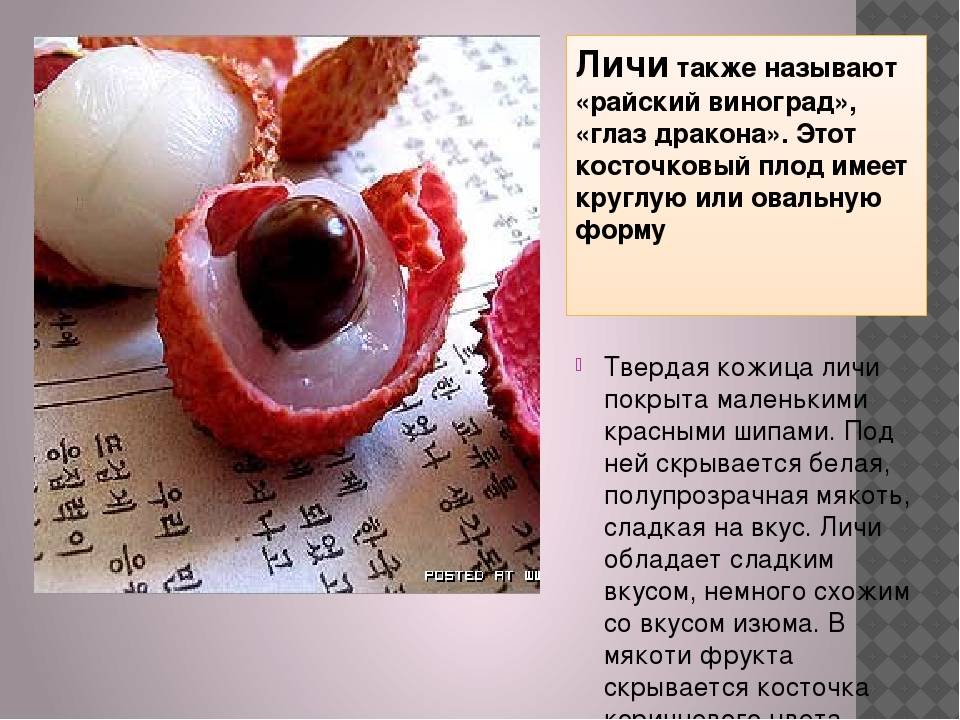 Листья и плоды личи