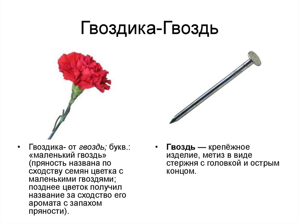 Схема слова гвоздика