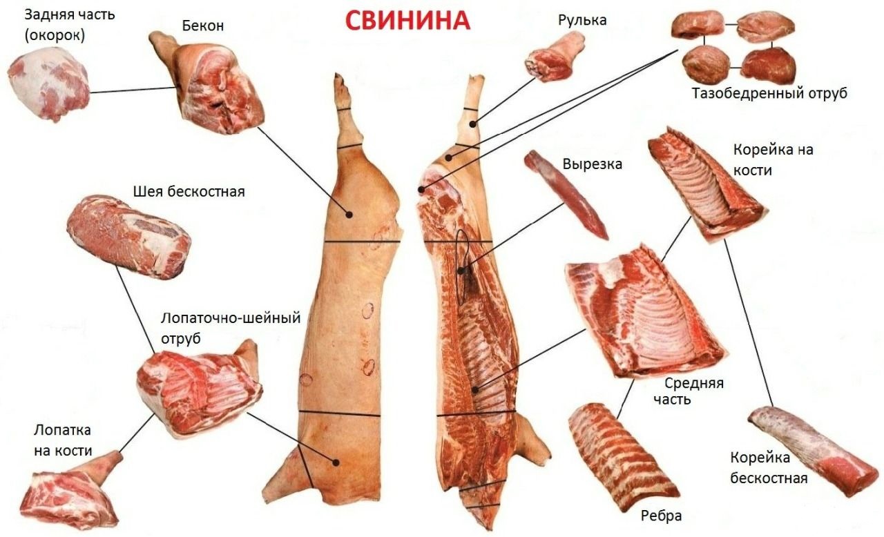 Карта разделки свиной туши